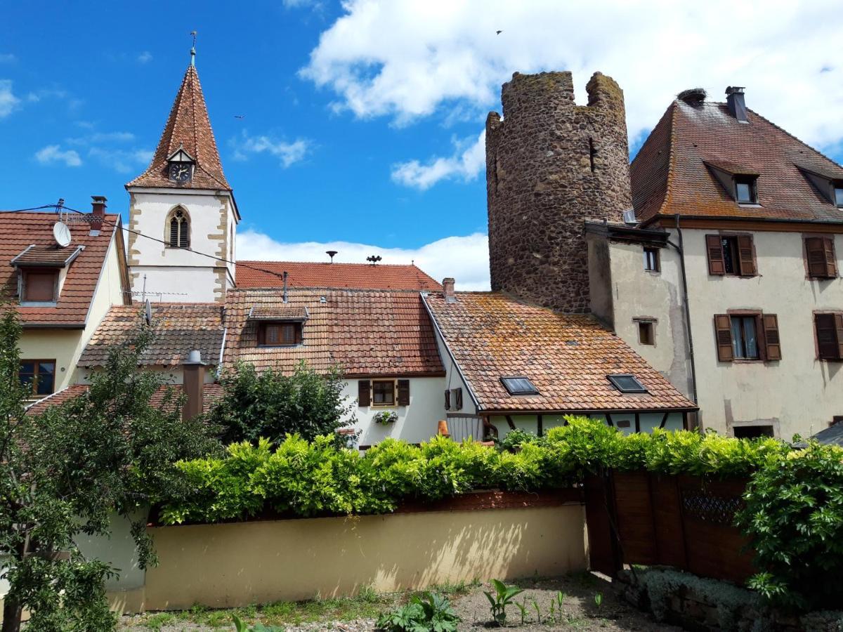 "La Vigne Dort" Cocon Romantique Herrlisheim-près-Colmar Exteriér fotografie